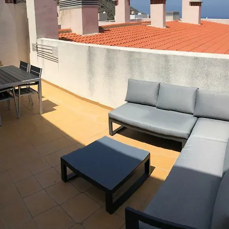 Family Drago Chill Out *