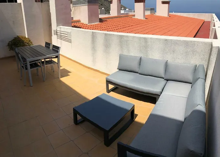 Family Drago Chill Out *