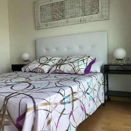 Family Drago Chill Out